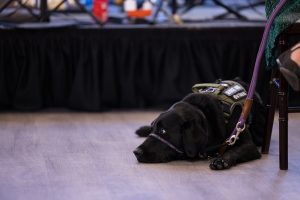 2025_10_18_OpDD Gala_0486