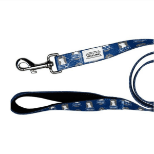 Nylon Leash