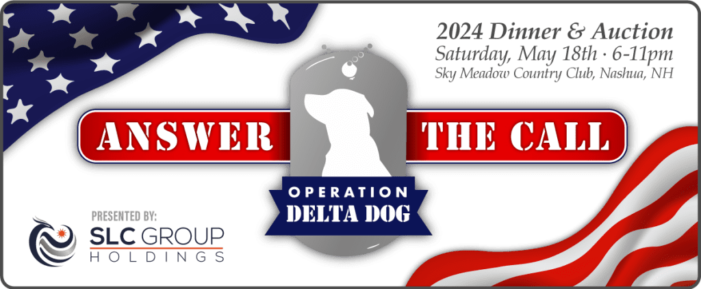 OpDD-2024-Brand-DinnerAuction-WebBanner